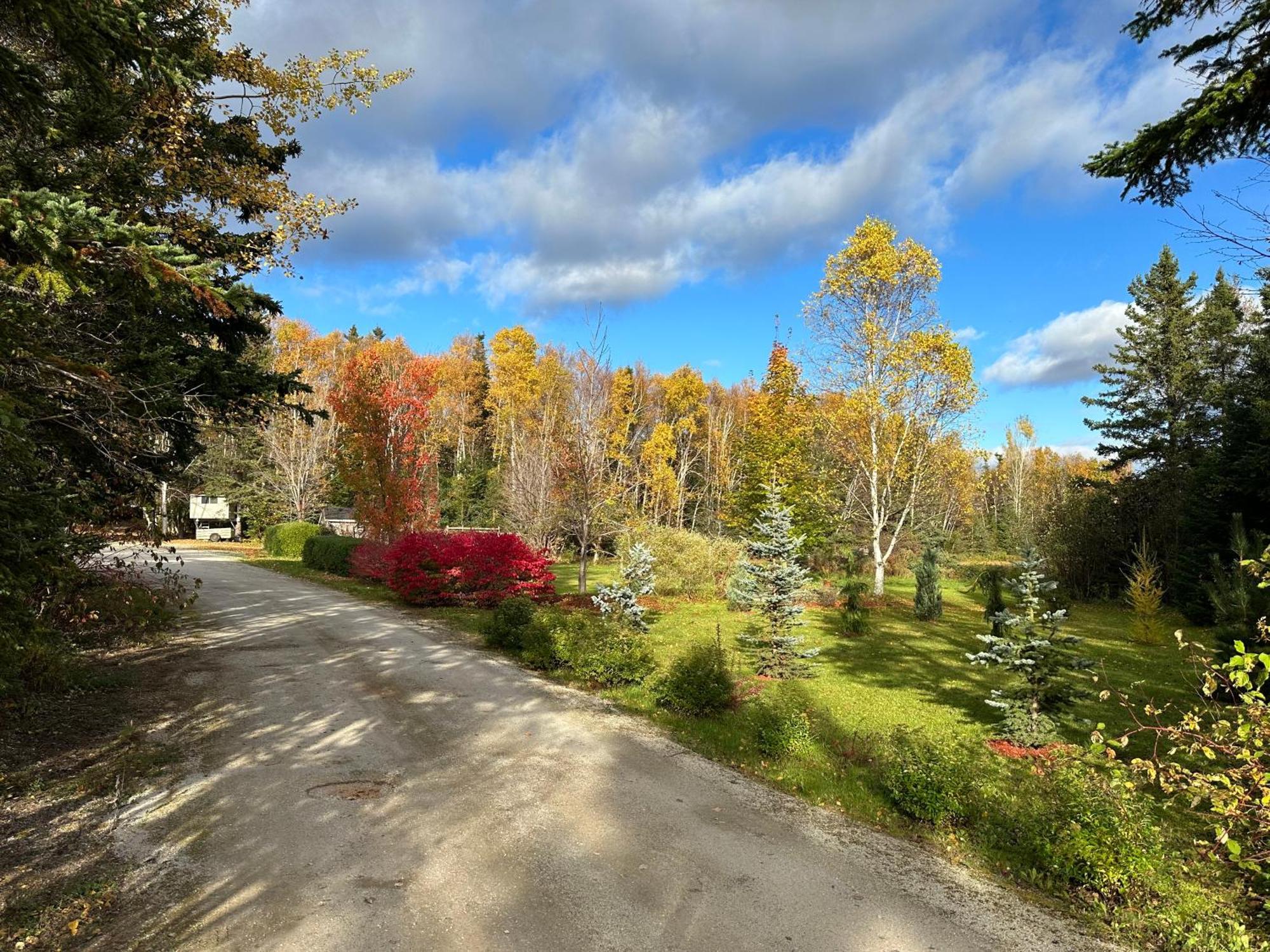 Eden Estate B&B Reidville Екстер'єр фото